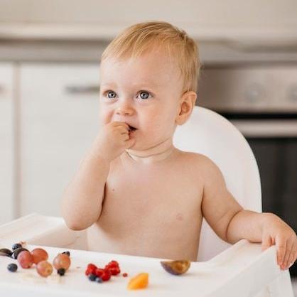 CURSO ALIMENTACIÓN COMPLEMENTARIA